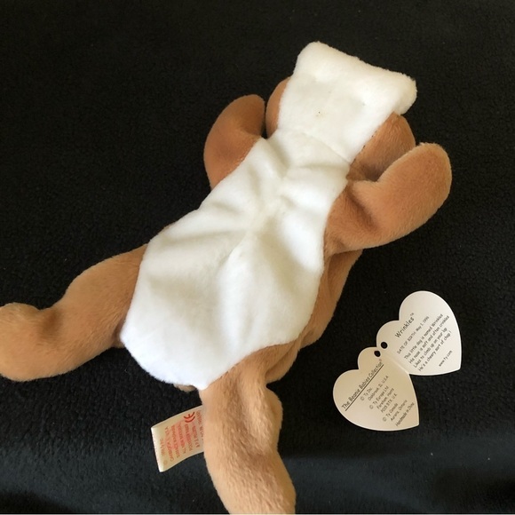 Wrinkles Bulldog Retired Beanie Baby - Picture 6 of 6